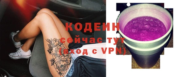 эйфоретик Майский