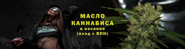 сатива Магас