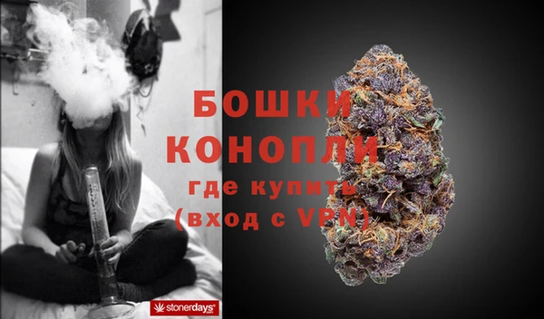эйфоретик Майский