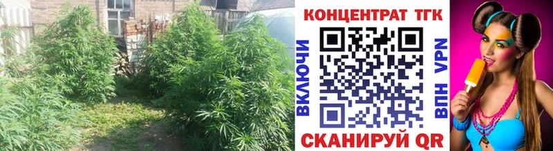 ТГК жижа  Купить где  Яровое 